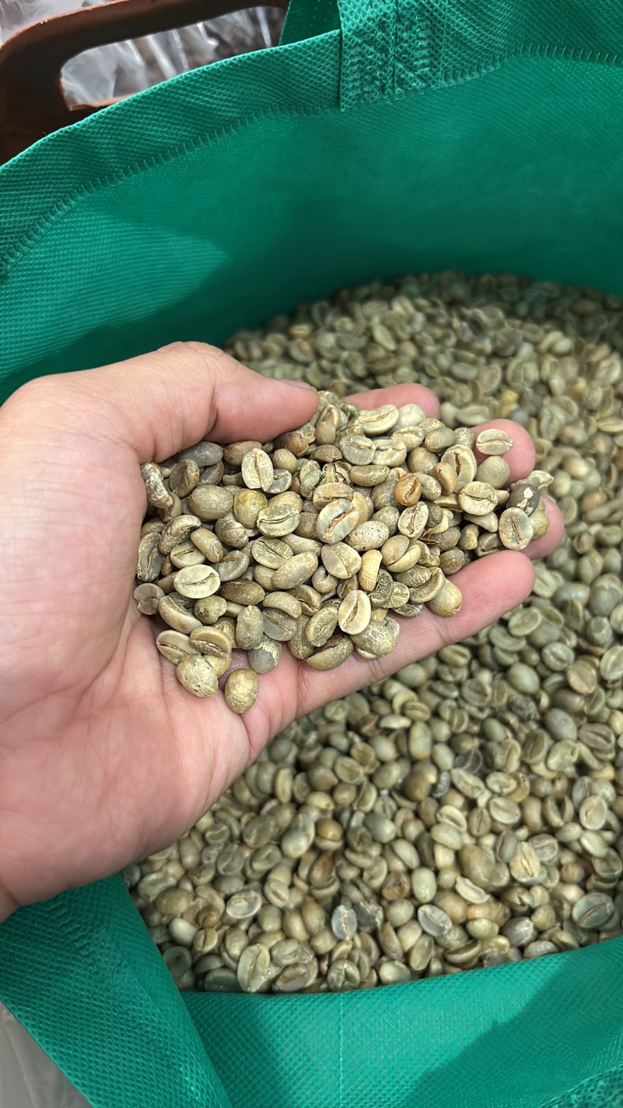 Green beans coffee Robusta  Argopuro Jember Grade 3 (Asalan) Huller & Dried