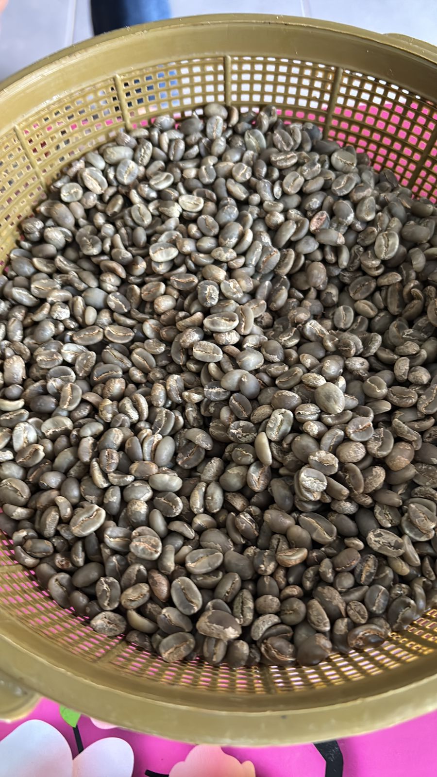 Green beans coffee arabica Argopuro Jember Full Washed Grade A