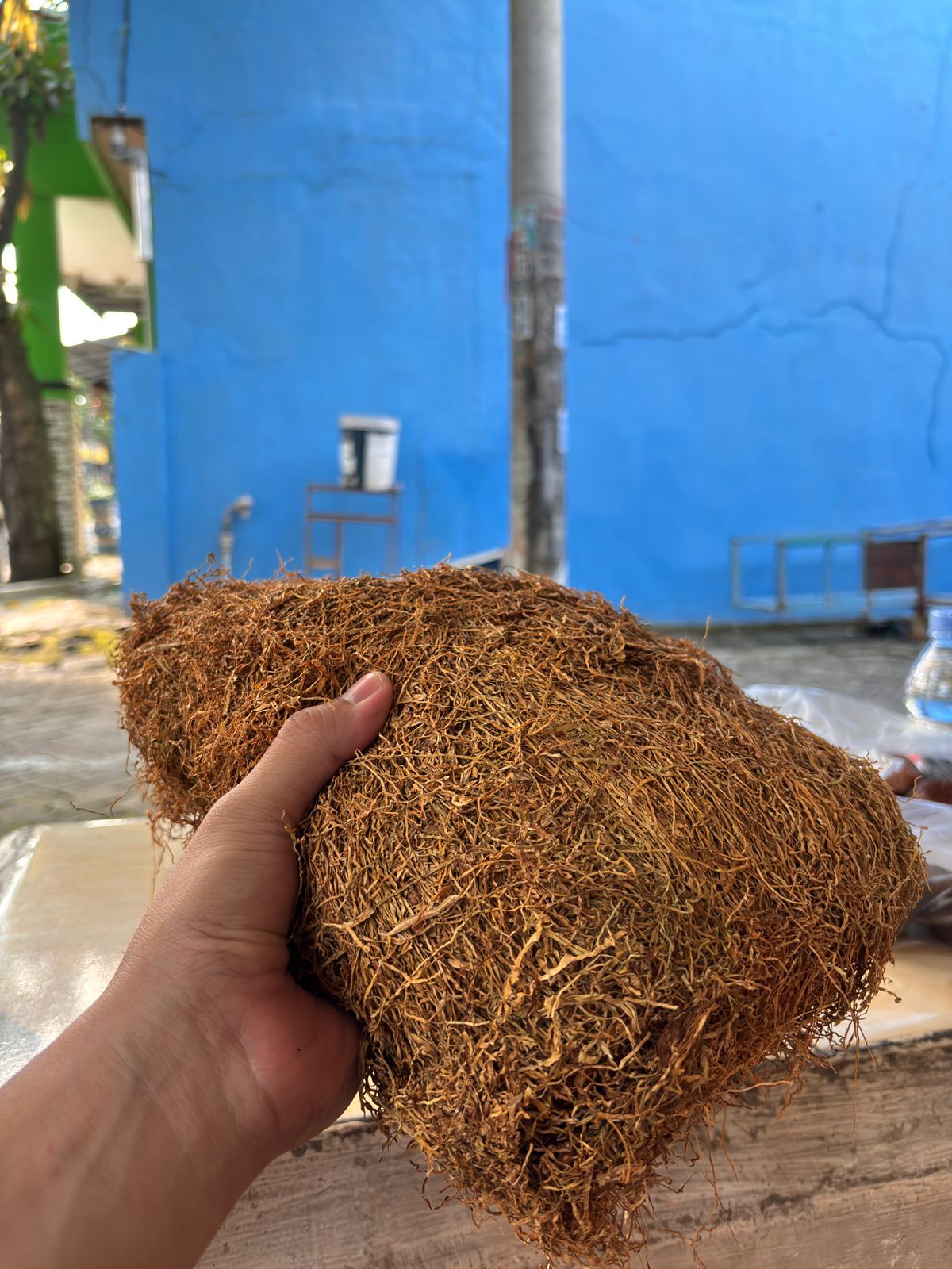 Tobacco Beringin Bondowoso